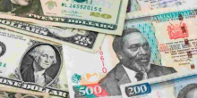 Shilling Maintains Position Against Weakening Dollar  