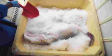 Kenyan Company Wins Prestigious Earthshot Prize for Innovative Waste-Reduction Solutions