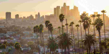 Los Angeles Defies Trump Deportation Agenda, Declares Itself an immigration Sanctuary 
