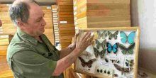 Steve Collins: Kenyan Man Who Turned Butterfly Collecting into Million-Shilling Art