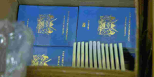 Kenya Slashes Passport Processing Time to 3 Days for Overseas Workers