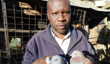 School Dropout Builds Thriving Pigeon Empire in Kenya, Attracts International Filmmakers