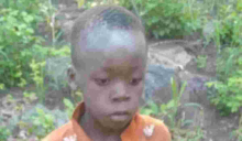 Eight-Year-Old Survives Five Days Alone in Lion-Inhabited Game Park