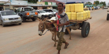 Kenyan Treasury Eyes Animal Transport to Cut Government Spending
