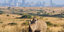 Kenya Tourism Board Awards Eight Photographers in National Contest to Showcase Hidden Attractions