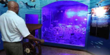 Mombasa Maritime Museum Reshapes Kenya's Historical Identity