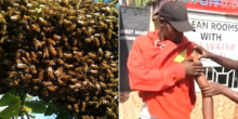 Panic in Limuru Market as Swarm of Bees Causes Chaos and Injuries
