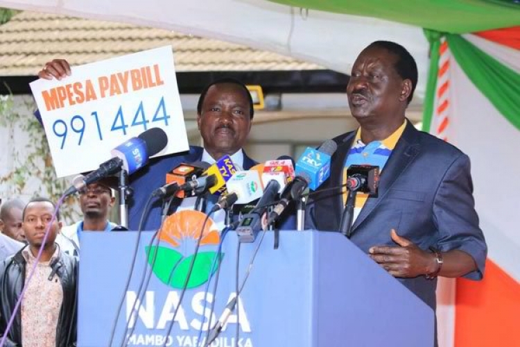 Kenyans in Diaspora Raise Funds for Raila Odinga's Campaign