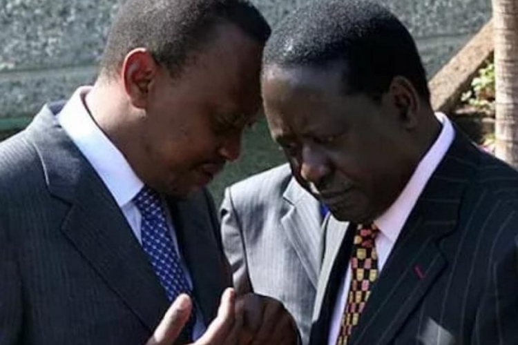 Kenyans in Diaspora Send Message to President Uhuru and Raila
