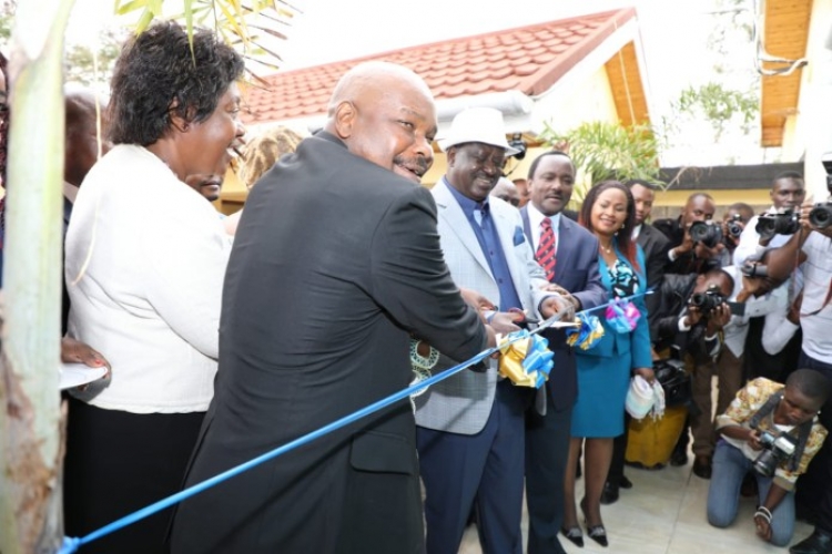 US-Based Scholar Makau Mutua Opens a Multi-Million Shilling Villa Hotel in Kenya 