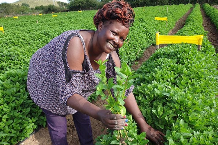 Meet Regina Mungai, a Diaspora Returnee Making a Fortune from Herbs Farming 