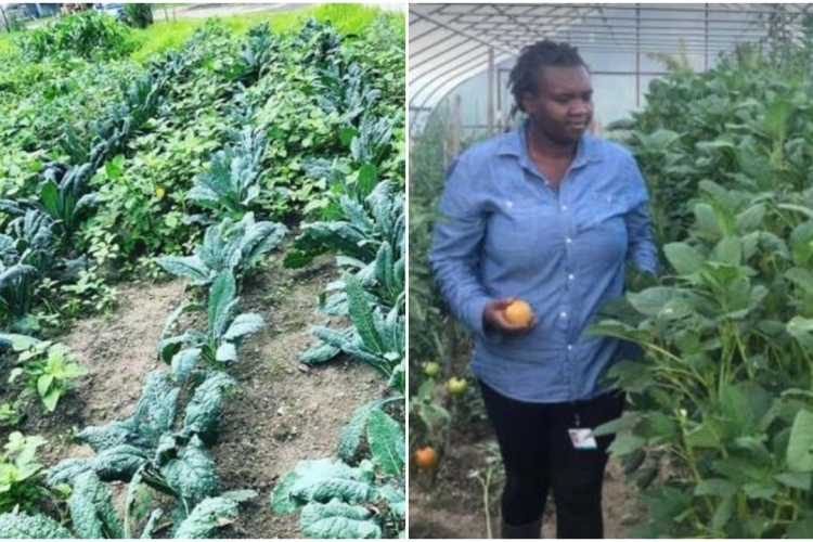 Kenyan Woman Reaps Big from Farming Vegetables Such as 'Managu' is the US
