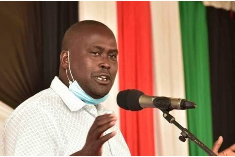 New Bill Seeks to Lock Out Kenyan Dual Citizens from Diplomatic Jobs 