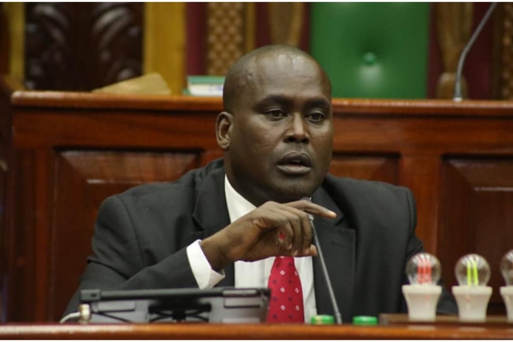 Kenyans in Diaspora Reject Foreign Service Bill 2021 