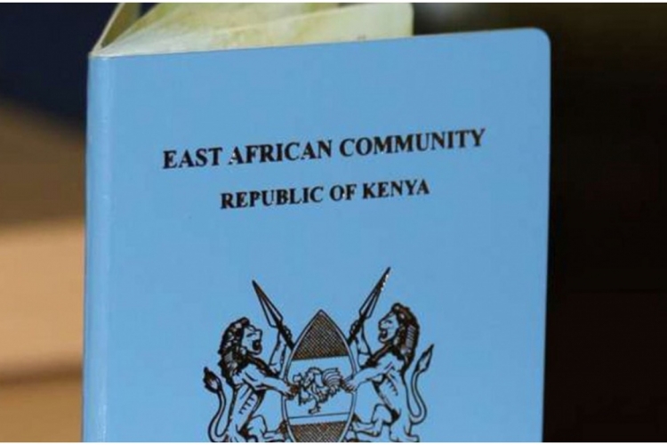 Immigration News Mwakilishi Com Immigration News Mwakilishi Com