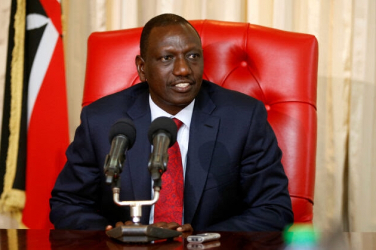 Deputy President William Ruto Lists Areas Where Kenyans in the Diaspora Should Invest In 