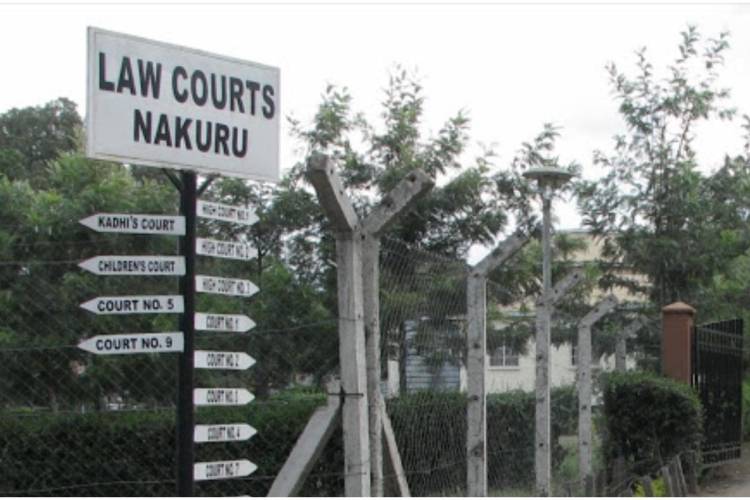 Kenyan Couple in Bitter Court Battle over Children's Relocation to the US 