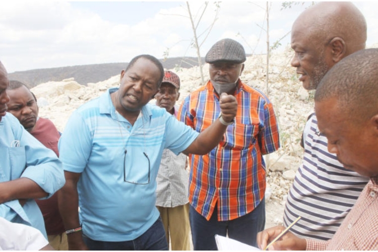 Diaspora Group Eyes Limestone and Marble Mining in Taita Taveta 