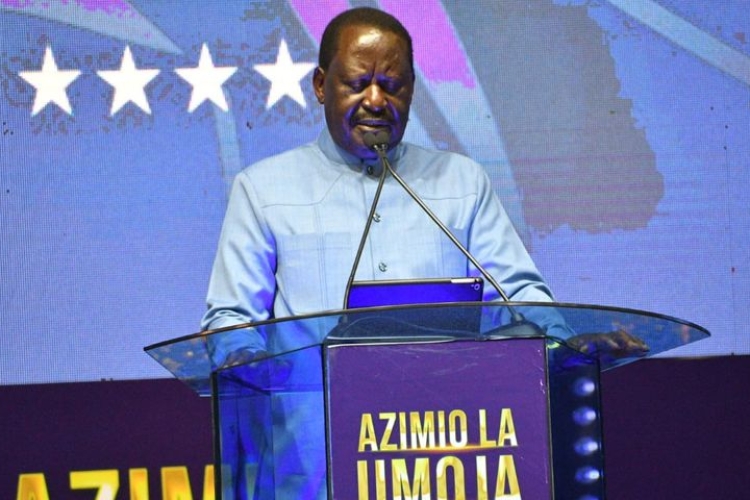 Raila Makes Three Appointments to His Diaspora Campaign Team 