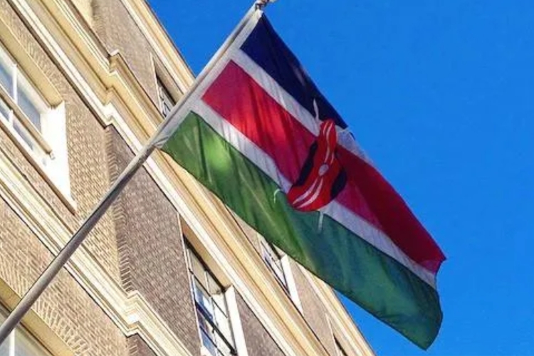 Treasury Rejects Plan to Sell Kenya House in New York 