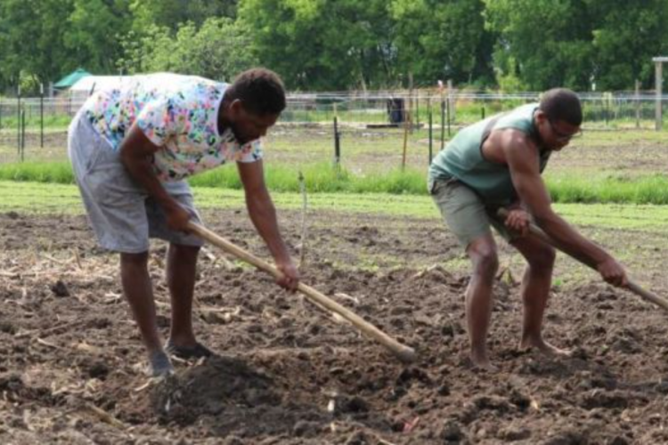 How Kenyan Erick Ateka Discovered His Farming Passion in Minnesota