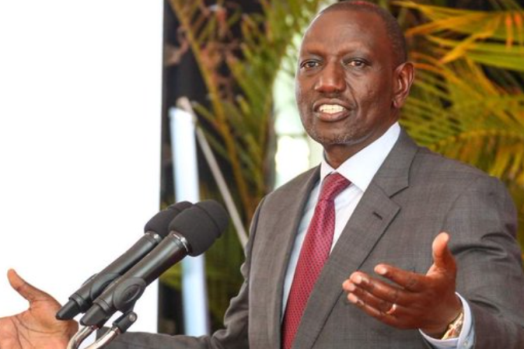 Ruto Secures Jobs for Kenyans in Djibouti in New Agreement 