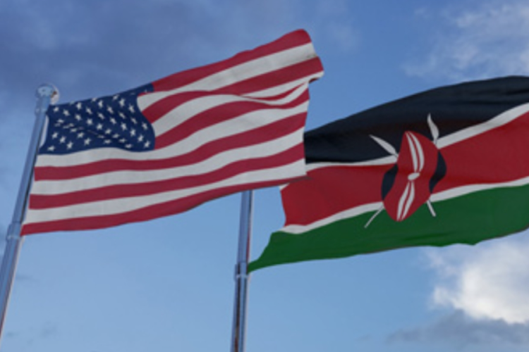 Kenyans in the US Ranked Third Most Industrious Foreigners 