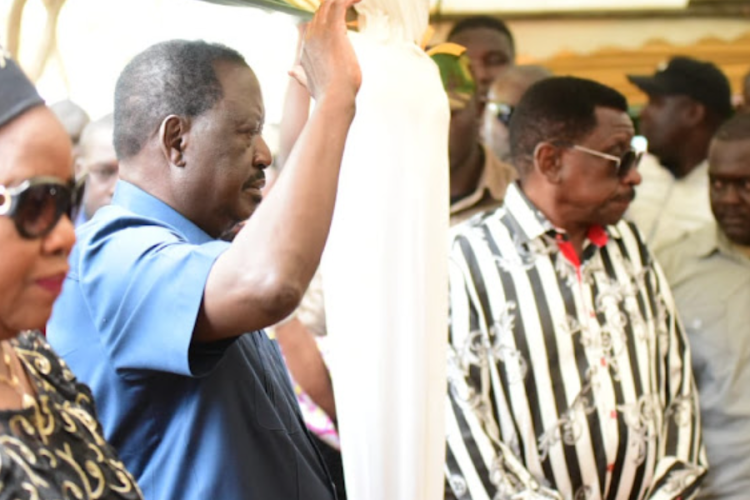 Raila Calls Out 'Silent' Envoys Over Alleged Police Brutality