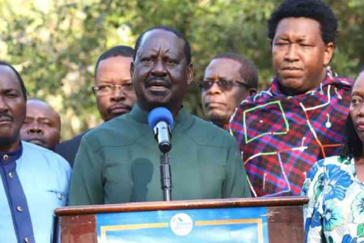 Raila Odinga Wants Political Parties to Pick IEBC Commissioners