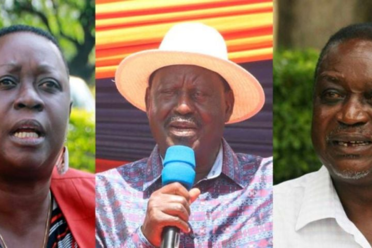 Ruth Odinga: No One is Fit to Fill Raila's Big Shoes, Yet