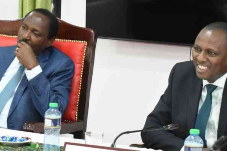Dialogue Team Agrees on Election Results Audit, IEBC Recruitment