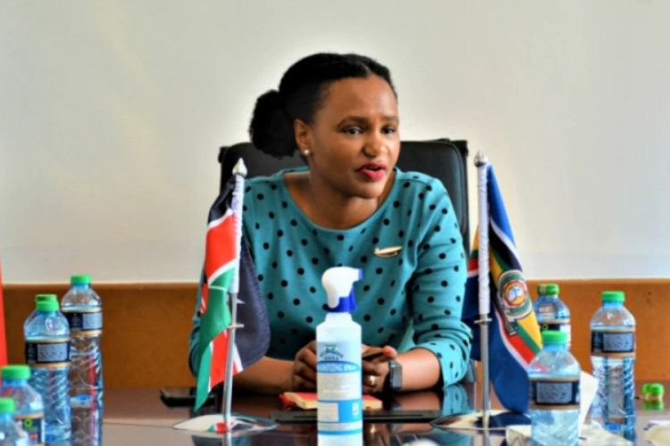 PS Njogu Confronts Notion of Diaspora Policy Being Remittance-Driven
