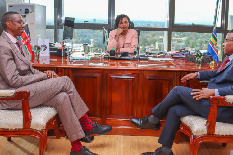 Kenyan Diaspora Leaders Engage with Government on Policy, Investment Opportunities